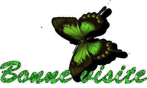 Bonne visite sur mon blog